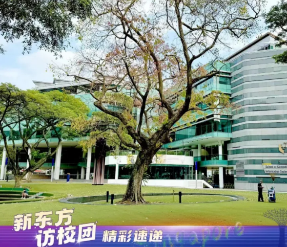 从“新”出发 “新”向狮城—走进智能财经高校， 新加坡管理大学！